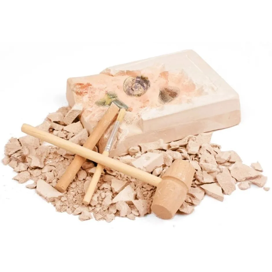 kit__dterrer_mes_premiers_0.webp Moses Astronomie, Géographie Et Biologie>Kit à Déterrer Mes Premiers Fossiles en Bois Enfant