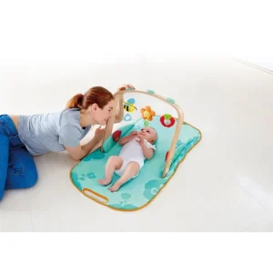 Hape Toys Premiers Jeux D'éveil Et Accessoires Bébé>Portique d'éveil pour bébé portable (bois, tissu)
