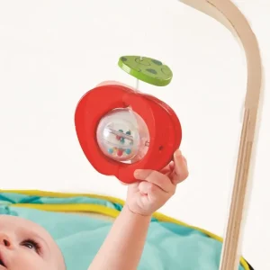 Hape Toys Premiers Jeux D'éveil Et Accessoires Bébé>Portique d'éveil pour bébé portable (bois, tissu)