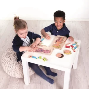 Beleduc Puzzles | Astronomie, Géographie Et Biologie>Puzzle 29 PCS Bois À la Découverte du Corps Humain