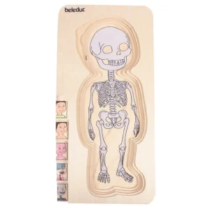 Beleduc Puzzles | Astronomie, Géographie Et Biologie>Puzzle 29 PCS Bois À la Découverte du Corps Humain