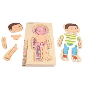 Beleduc Puzzles | Astronomie, Géographie Et Biologie>Puzzle 29 PCS Bois À la Découverte du Corps Humain