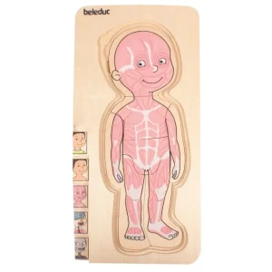 Beleduc Puzzles | Astronomie, Géographie Et Biologie>Puzzle 29 PCS Bois À la Découverte du Corps Humain