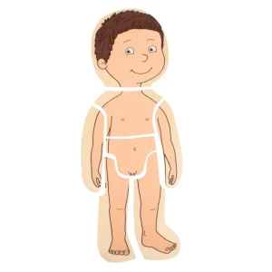 Beleduc Puzzles | Astronomie, Géographie Et Biologie>Puzzle 29 PCS Bois À la Découverte du Corps Humain