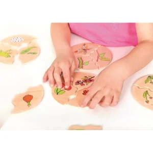 Beleduc Puzzles | Astronomie, Géographie Et Biologie>Puzzle Éducatif Enfant 30 PCS Bois Phases de Vie