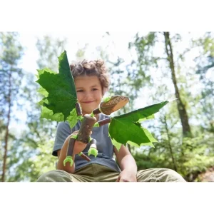 Haba Jeux De Construction Mécanique>Terra Kids Dragon Kit de Construction pour Enfant