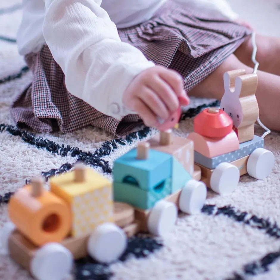 train_pure_empilable__tir_1.webp Janod Jouets À Tirer Et À Pousser>Train Pure Empilable à Tirer en Bois pour Bébé